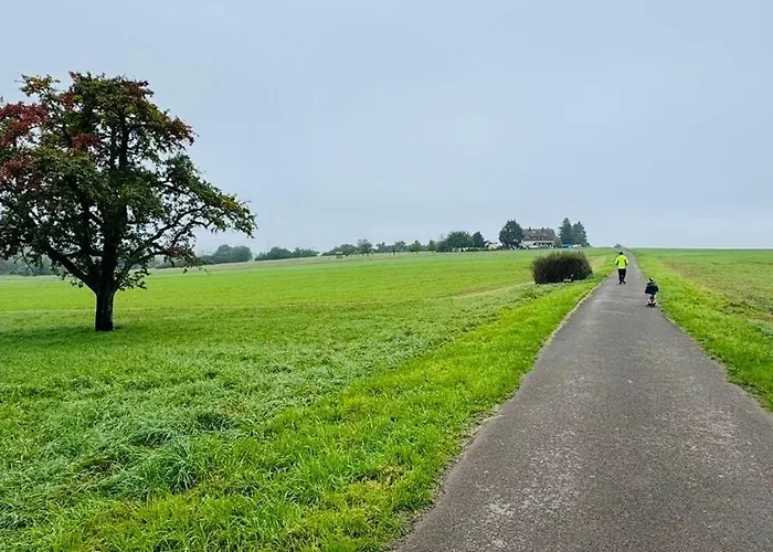 Cozy & Small Apartment-boeblingen Apartamento *